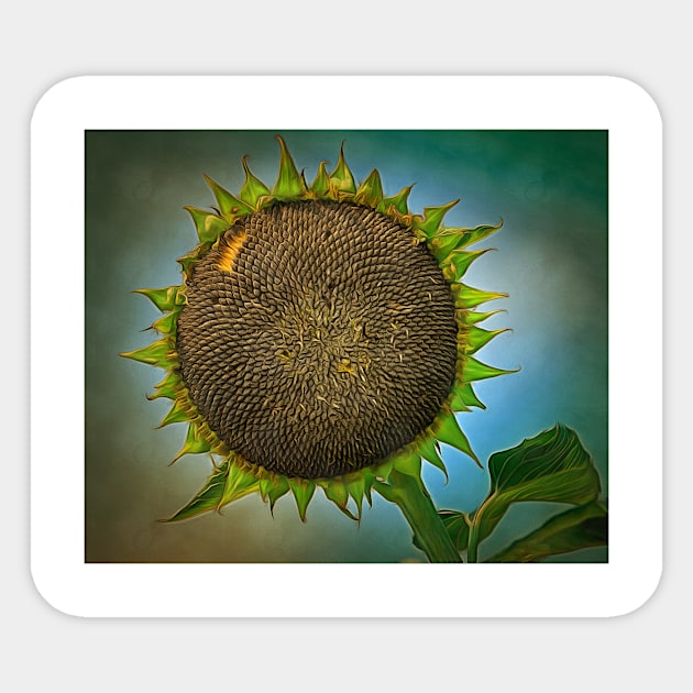 Sunflower painting artwork Sticker by Choulous79